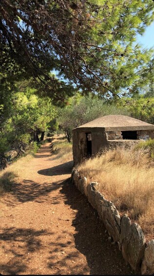 A dirt path leading to a small stone structure surrounded by trees. 4