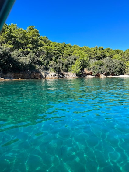 A clear turquoise sea, rocky shoreline, and dense green trees. 2