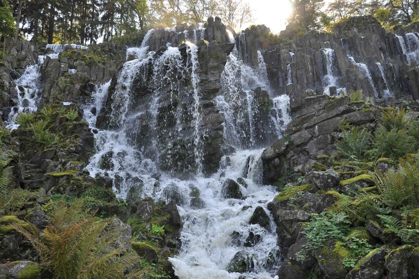 A waterfall cascading over rocky terrain with lush greenery and ferns. 5