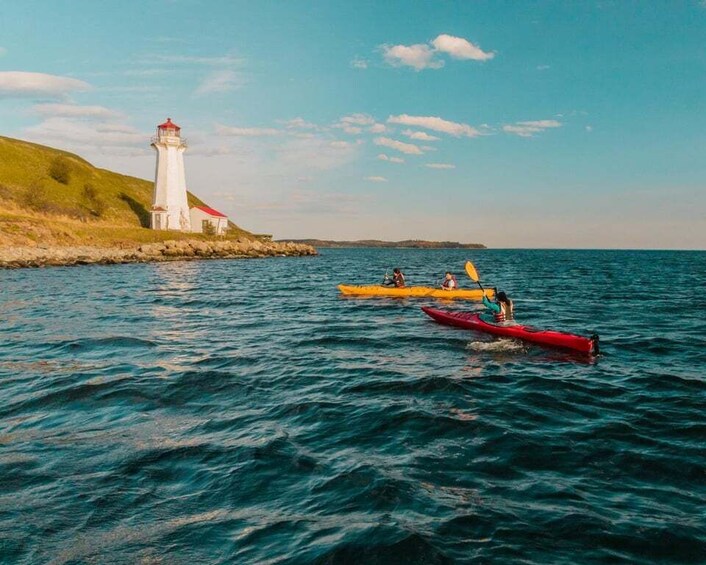 A lighthouse, calm sea, and kayakers. 5