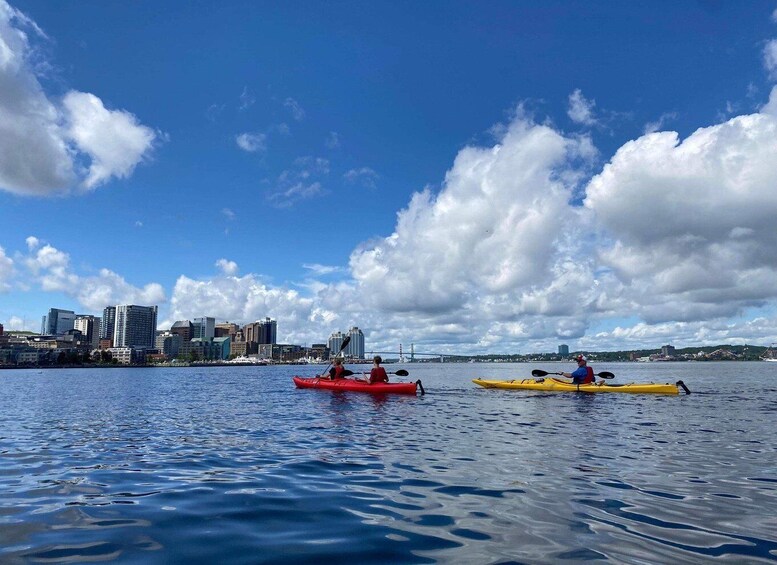 Two kayaks on calm water with a city skyline in the background. 3