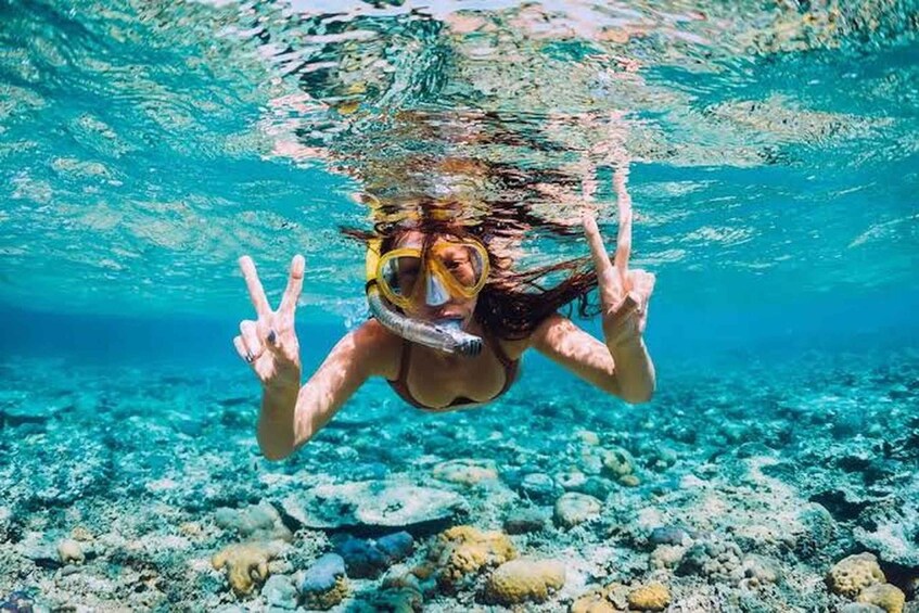 A person snorkeling underwater with a clear view of the ocean floor and coral formations. 1