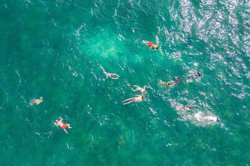 A group of people swimming in clear turquoise water. 3