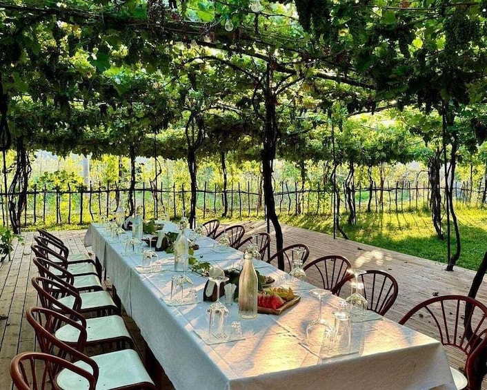 An outdoor dining setup with a long table, chairs, and a vineyard in the background. 4