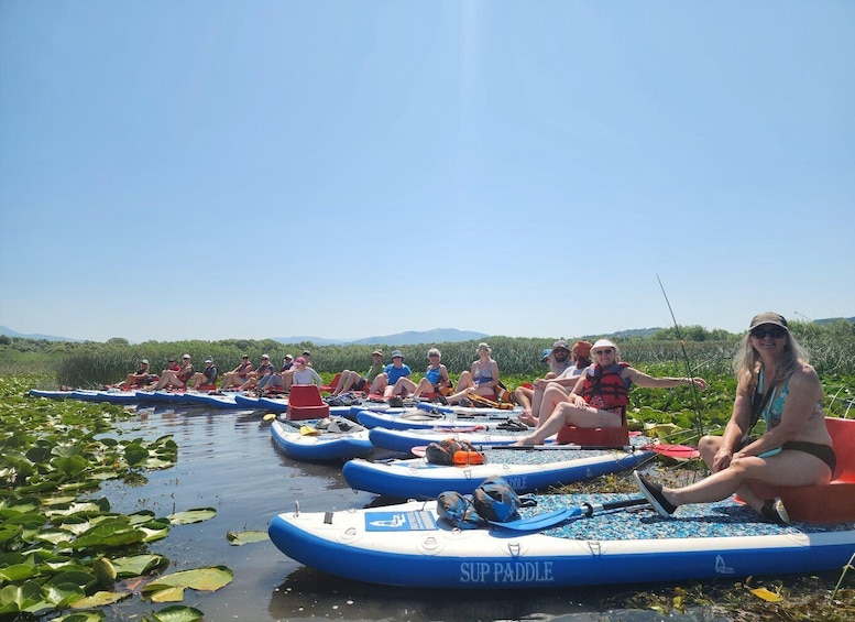 People sitting on SUP PADDLES in a body of water surrounded by greenery. 1