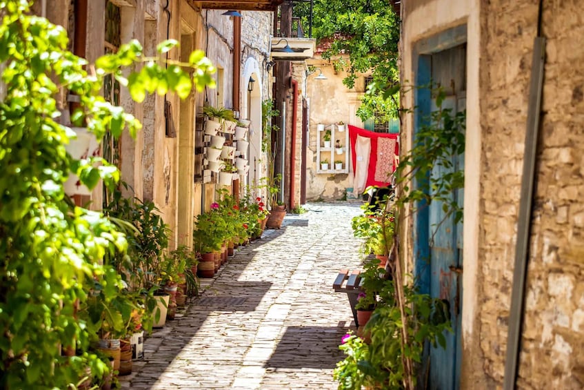 A narrow cobblestone alley lined with potted plants and hanging laundry. 2