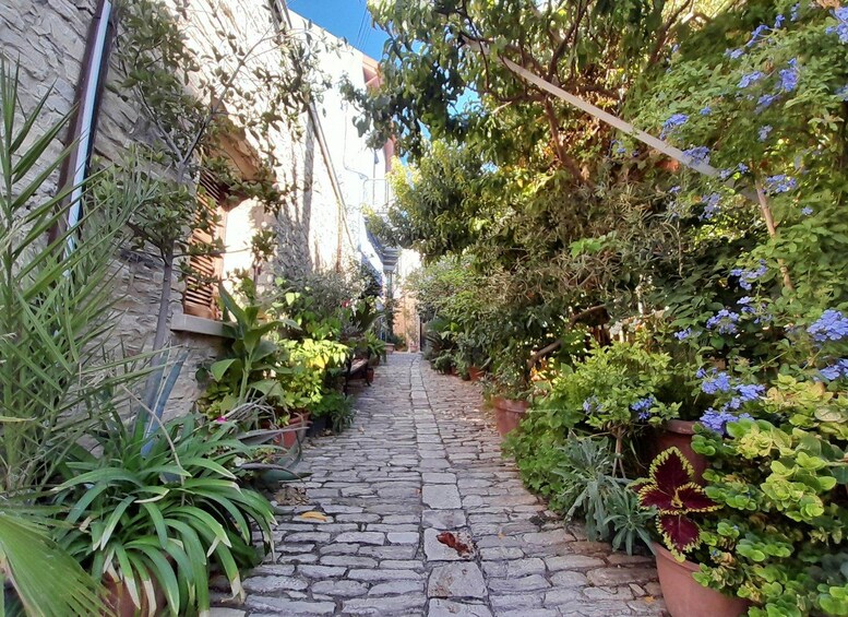 Picture 12 for Activity Nicosia Larnaka Lefkara Tour from Ayia Napa/Protaras/Larnaka 2