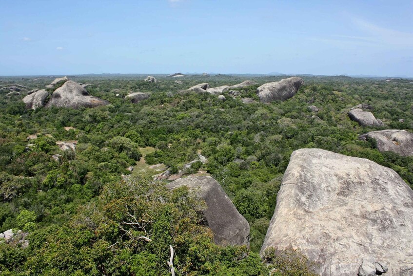 A landscape with large boulders and dense green vegetation. 2