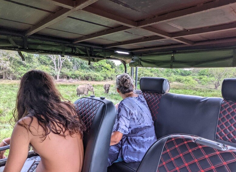 A vehicle interior with two passengers observing elephants in a natural setting. 5