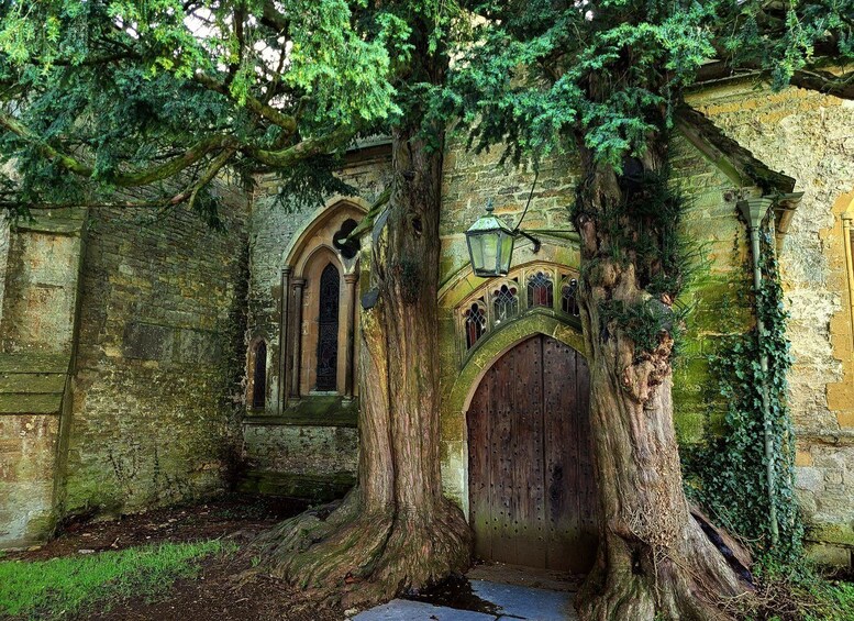 An ancient stone building with a large tree growing through its walls, a wooden door, and a small window. 1