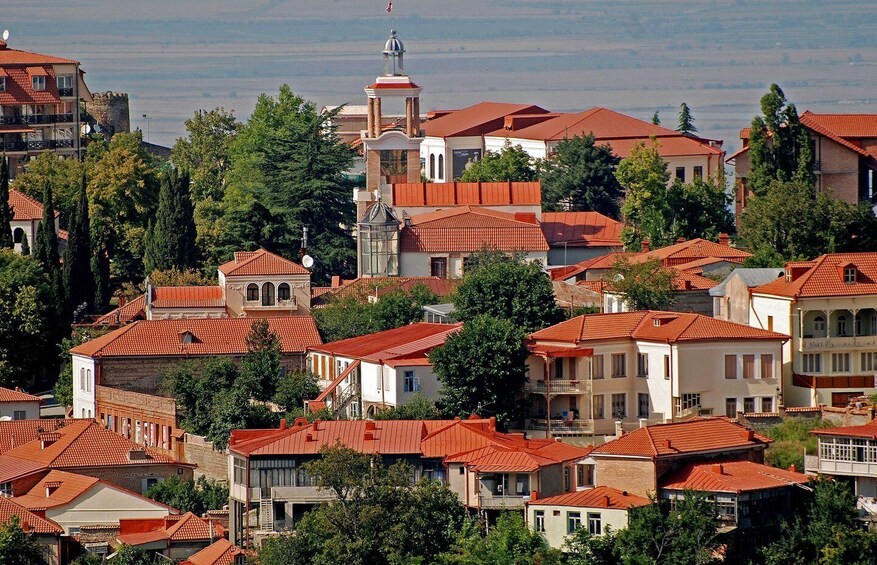 A town with red-tiled roofs, a prominent church with a bell tower, and lush green trees. 2