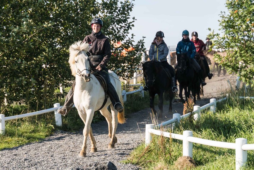 A group of people riding horses on a gravel path with white railings, surrounded by greenery. 5