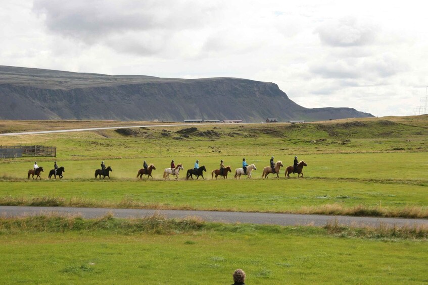 A group of riders on horses in a grassy field with a road and a mountain in the background. 3