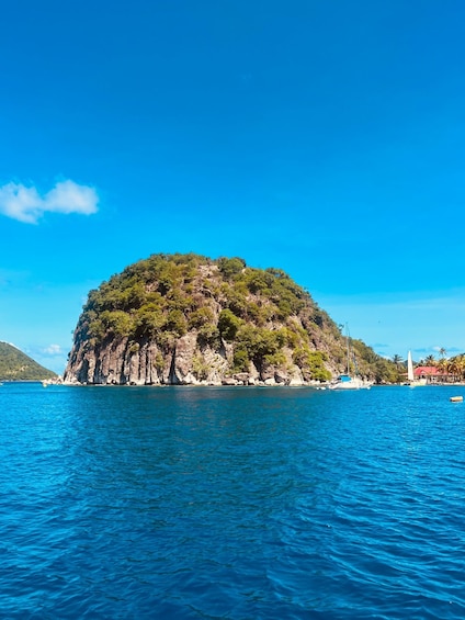 A small island with dense greenery and rocky cliffs surrounded by clear blue water. 1