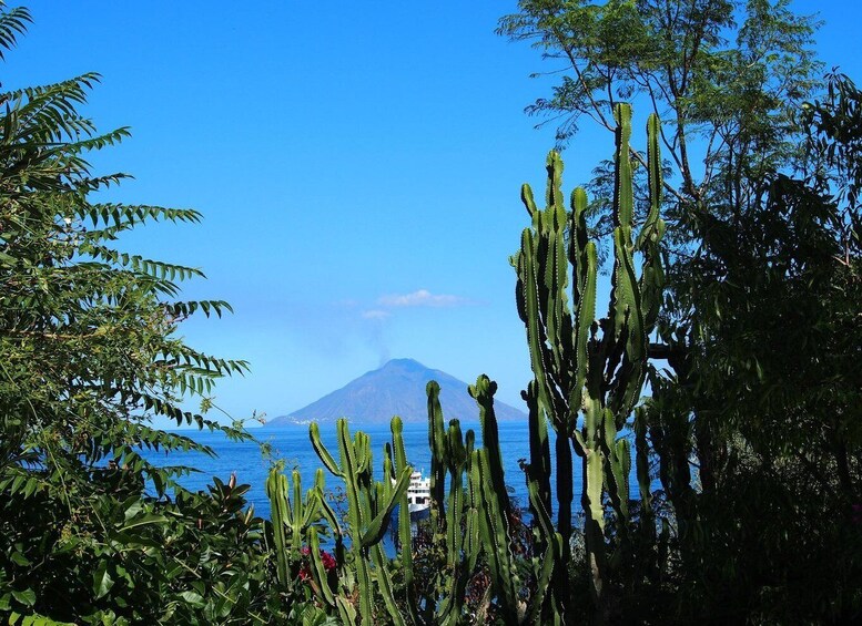 A coastal landscape with cacti, a clear blue sky, and a mountain in the distance. 2