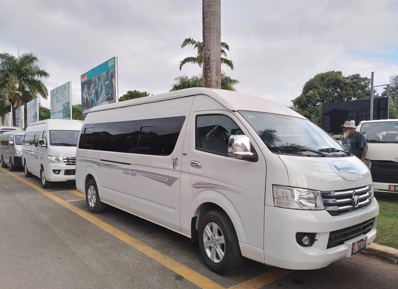 A white van parked on a street lined with palm trees and other vehicles. 4