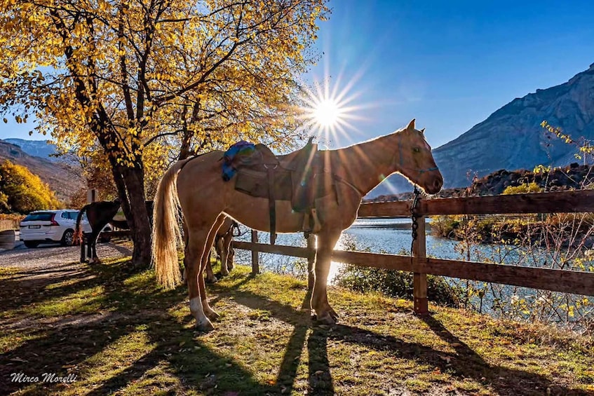 A horse standing by a wooden fence with a mountain in the background and a bright sun shining. 2