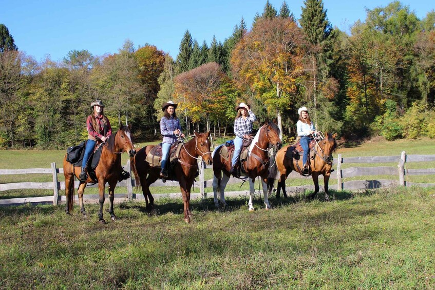 Four people riding horses in a grassy field with a wooden fence and trees in the background. 3