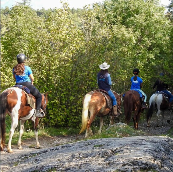 A group of people horseback riding along a dirt path surrounded by dense greenery. 4