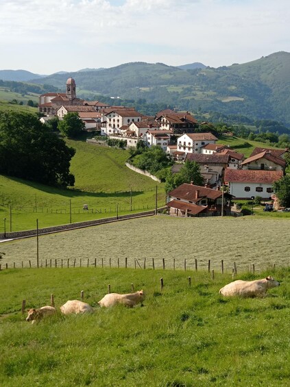 A rural landscape with a village, rolling hills, and grazing sheep. 2