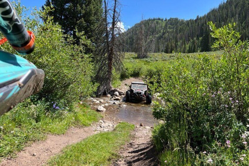 A vehicle navigating a narrow, rocky stream in a lush, green landscape with dense trees and hills in the background. 3