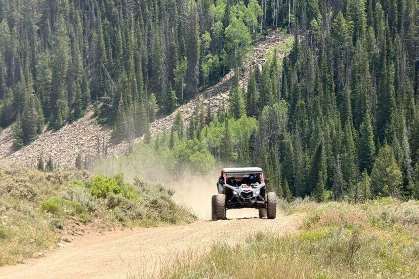 A quad bike on a dirt road surrounded by a forested area. 2