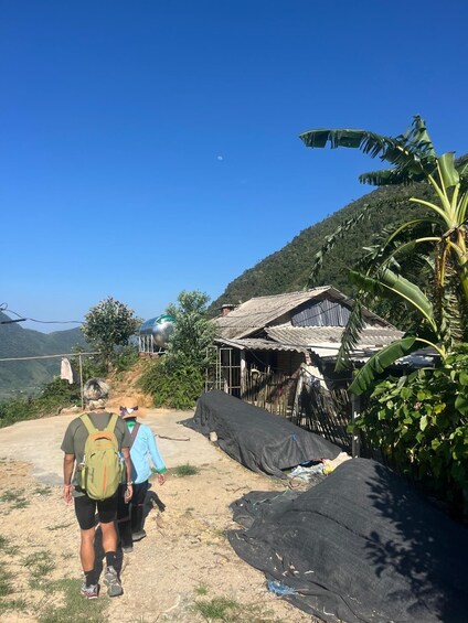 A group of people walking on a dirt path, a house with a corrugated metal roof, and a banana tree. 3