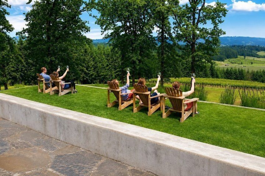 People sitting on chairs in a grassy area with a vineyard in the background. 1