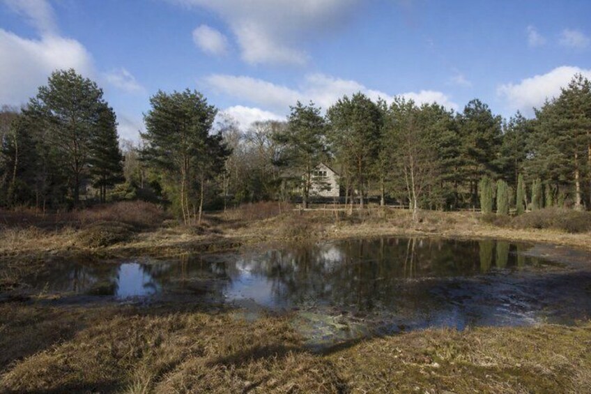A pond surrounded by trees and a house in the background. 5