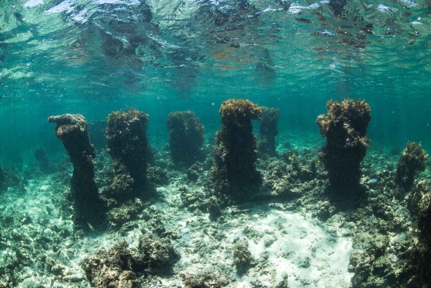 An underwater view of a coral reef with several large, vertical formations. 3
