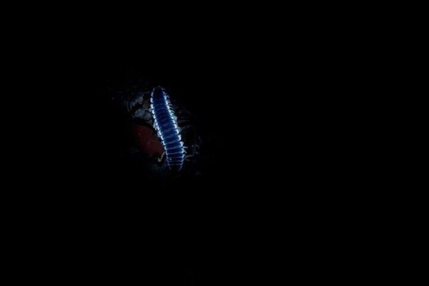 A dark scene with a faintly visible object that appears to be a glowing blue light or reflection. 3