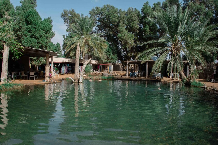 A tranquil outdoor setting with a clear pool, surrounded by palm trees and shaded structures. 1