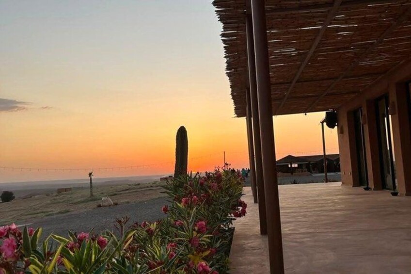 A sunset view from a covered outdoor area with a cactus in the foreground and a distant horizon. 5