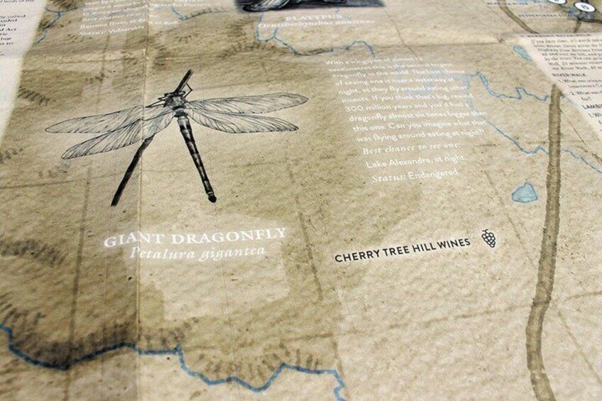 A map with a dragonfly illustration, text about a giant dragonfly, and mentions Cherry Tree Hill Wines. 4