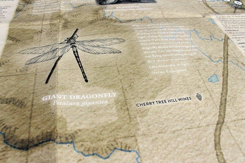 A map with a dragonfly illustration, text about a giant dragonfly, and mentions Cherry Tree Hill Wines. 3