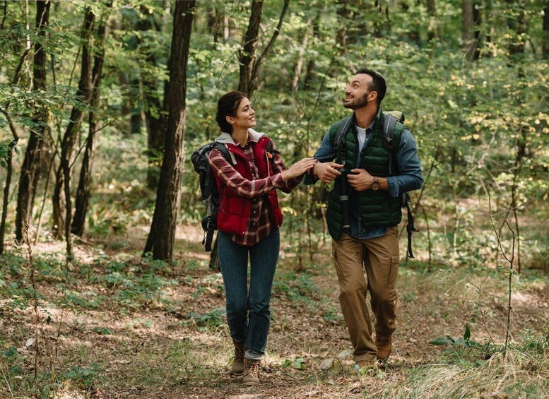 Two people hiking in a forest with dense trees and underbrush. 5