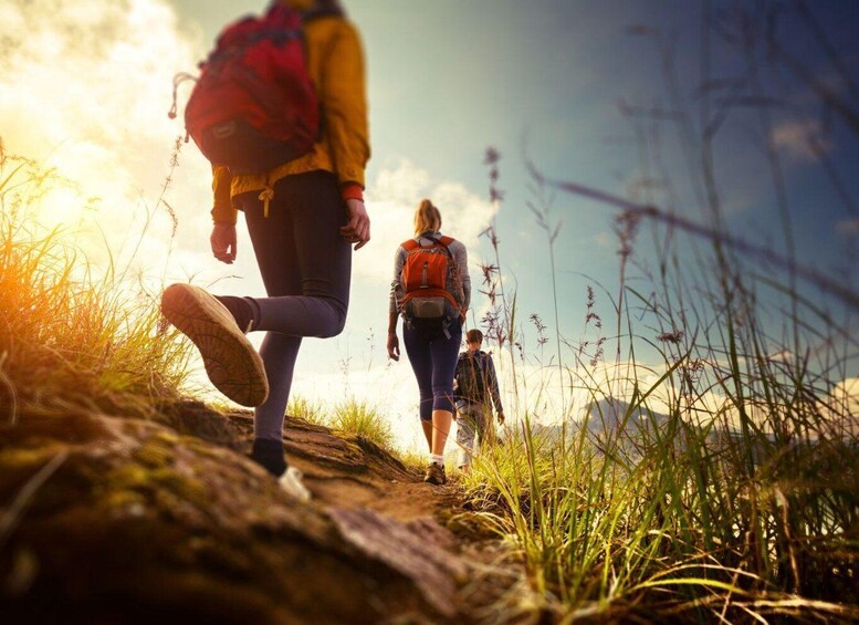 Hikers on a rocky trail with grass and wildflowers. 3