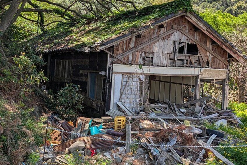 A dilapidated wooden house surrounded by debris and overgrown vegetation. 2