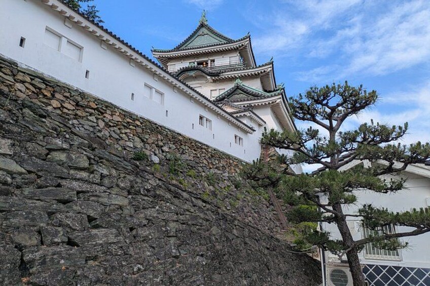 A traditional Japanese castle with a stone wall and a pine tree. 5