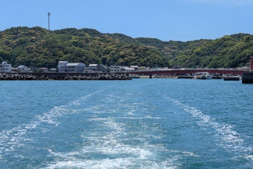 A body of water with a wake, a bridge, and a forested hill in the background. 4