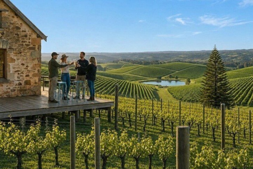 A vineyard with rows of grapevines, a wooden building, and a clear sky. 1