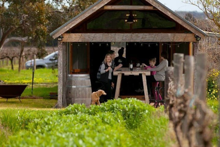 A wooden structure with a table and chairs, surrounded by greenery and a dog. 2