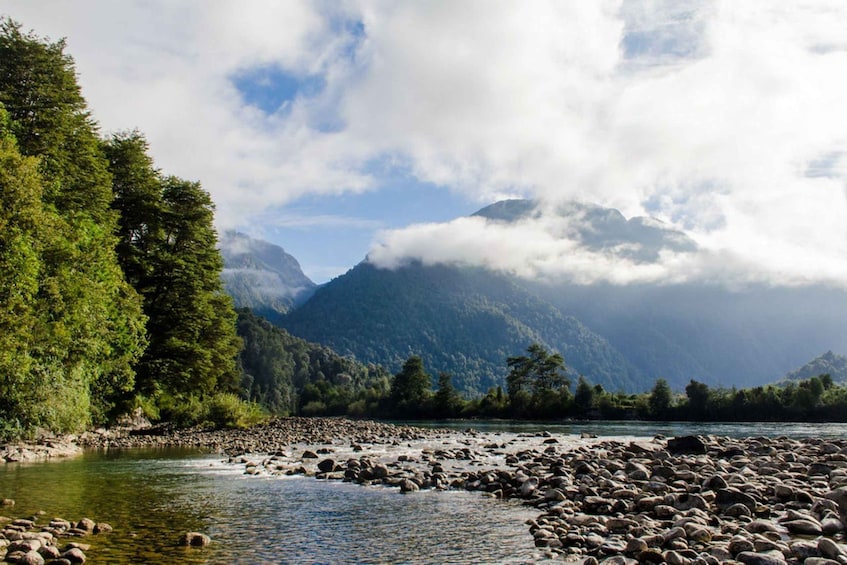 A river with rocks, dense green trees, and mountains in the background. 1