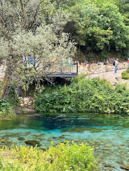 A clear river with rocks, a wooden bridge, and dense greenery. 4
