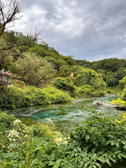 A river flowing through a lush green landscape with dense foliage and a cloudy sky. 2