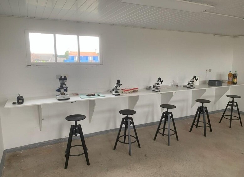 A laboratory with white walls, a window, and several microscopes on a counter. There are four stools and a white table. 3