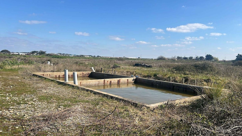 A rectangular water feature with a concrete border and two white poles, surrounded by dry grass and shrubs. 2