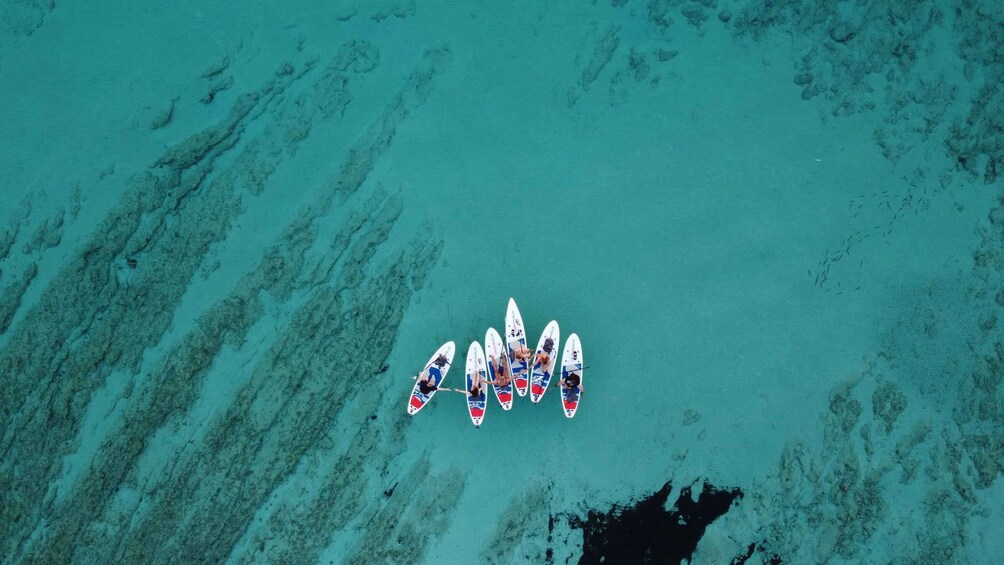 An aerial view of a group of paddleboards on turquoise water. 1