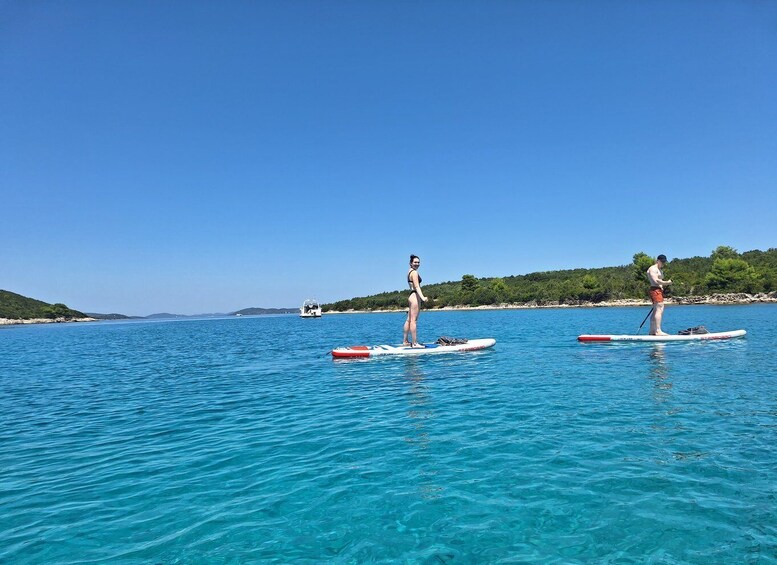 Two people paddleboarding on a calm sea with a clear sky and a coastline in the background. 5
