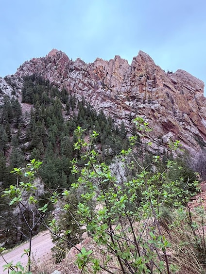 A mountainous landscape with rocky cliffs and dense coniferous trees. 2